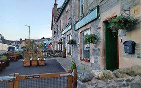 Craiglea Thistle